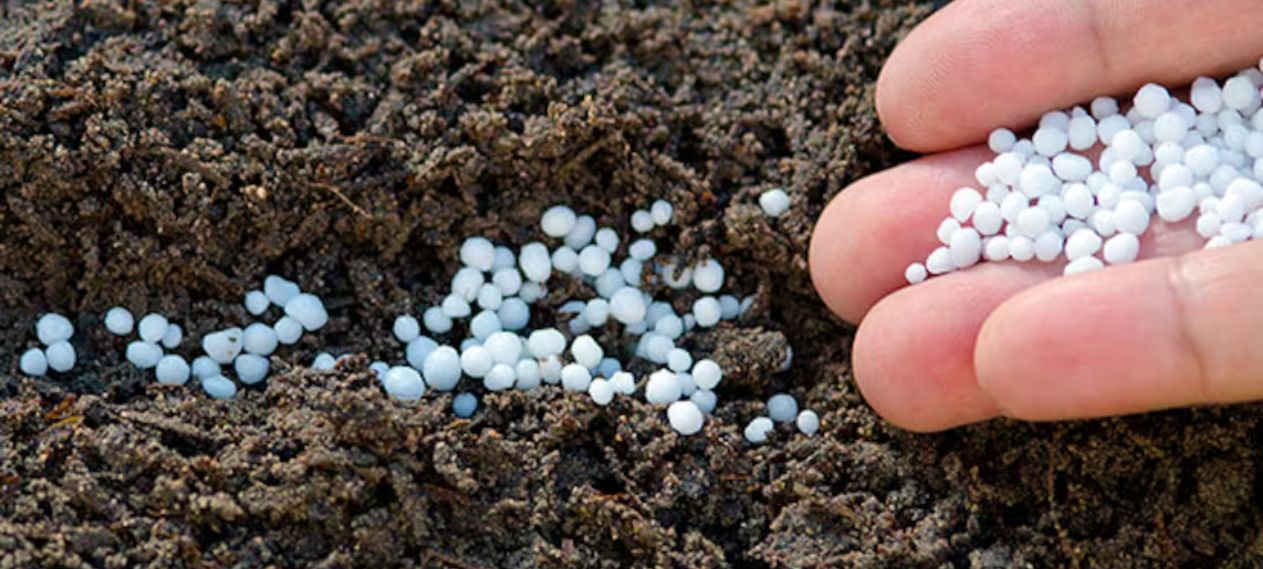 The Sindh government has imported urea fertilizers amounting to Rs4.5 billion.